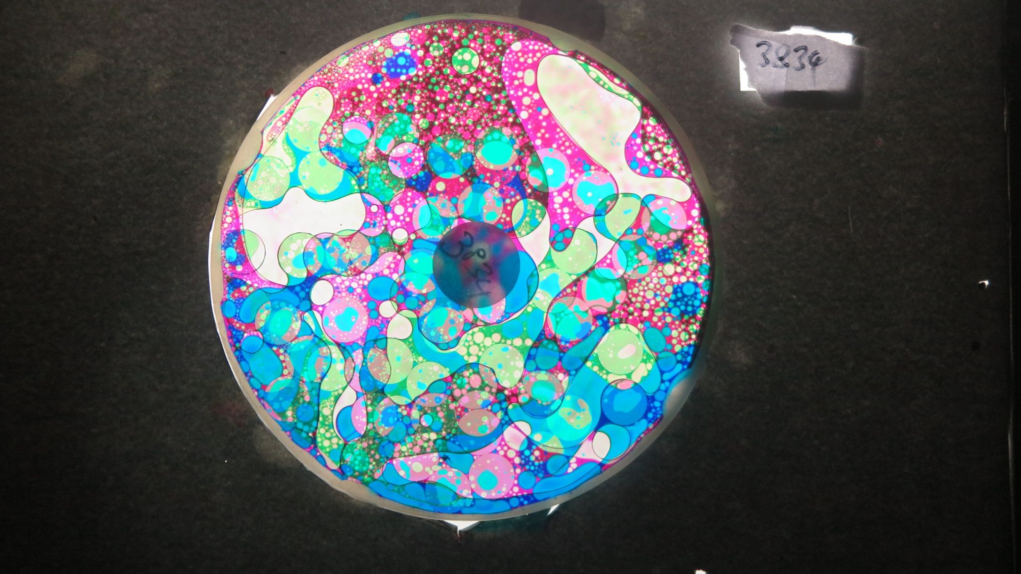 BV3834 bubble vision oil wheel